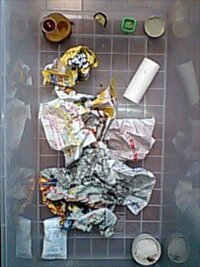 餌用コオロギの共食いについて質問です現在 写真の設備でイエコを匹 Yahoo 知恵袋