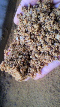 庭に畑を作ろうと 掘り返して土をふるいにかけているのですが 土という Yahoo 知恵袋