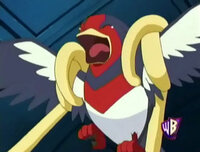 ポケモンの質問です このオオスバメ すごくくすぐったそうですね Yahoo 知恵袋