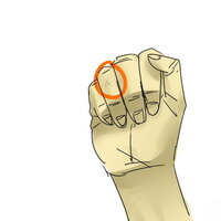指毛について 指の第一関節と第二関節の間って 毛 生えますか 第二関節 Yahoo 知恵袋