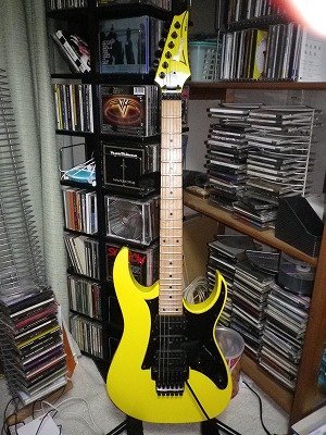 ギター買うのが止まらないのですが、みなさん何本持ってますか 