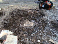 木の切り株の処理について教えてください 教えて 住まいの先生 Yahoo 不動産