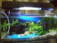 45cm水槽におすすめのフィルターと照明を教えてください 45cm水槽に Yahoo 知恵袋