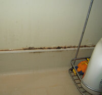 お風呂場の石灰化したような汚れの落とし方 築5年でユニットバスで Yahoo 知恵袋