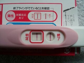 高温期20日目