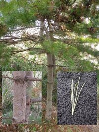 水はけの良過ぎる培養土 先日購入した培養土の水はけが良過ぎて朝水をやってもお昼 Yahoo 知恵袋