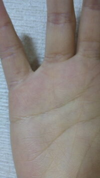 手相に詳しい方 教えてください 太陽線で気になっているのですが 自分で調べてみ Yahoo 知恵袋