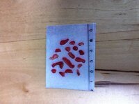 コレは何の写真かわかりますか 娘の診察券の間からでてきました ２mmから３mm Yahoo 知恵袋