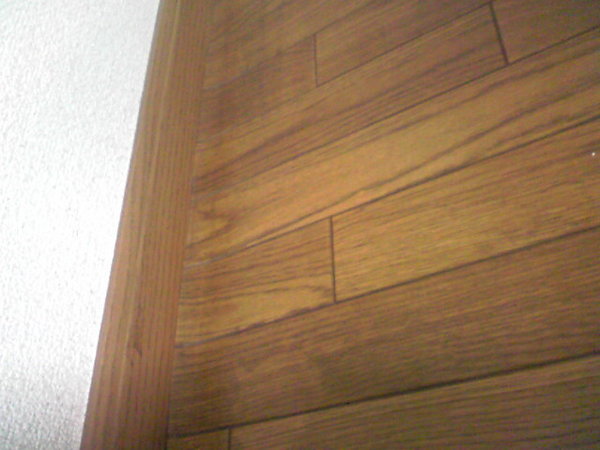 フローリングっぽい床に白カビが発生してしまいました。クリーニング 