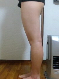 秋コーデ 高校生 女 足太い