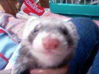 上目遣いが出来ません 上目遣いがいまいちよくわからないです コツとか Yahoo 知恵袋