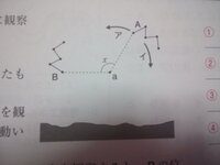 理科の問題です 至急お願いします 人 右の図のaは 10日の18 Yahoo 知恵袋