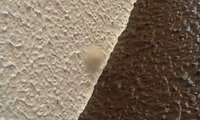 ベランダの壁に画像のような白っぽいほわほわした綿のような感じのものが付いていたのですが、これはなんなのでしょうか？

虫の卵とかなとも思ったのですが… 