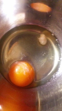 卵を割ったら 2cmほどの白い塊 クリーム色 がでてきました Yahoo 知恵袋