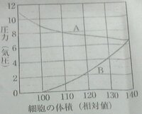 生物学実習のレポートについて質問です 浸透圧 原形質分離の実験につい Yahoo 知恵袋