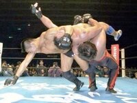 ビーナッツ とかいう昔nhkでやってたアニメを知りませんか ピーナッツの Yahoo 知恵袋