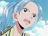 どうして One Piece のアラバスタ王女ビビはルフィの仲間にならずアラ Yahoo 知恵袋