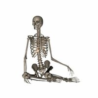 人体の骨の構造が見れるｻｲﾄ 人体ﾃﾞｯｻﾝのﾎﾟｰｽﾞ集360 Yahoo 知恵袋