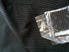 スーツのパンツが破けてしまいました 青山に持っていったら直してもらえるのでしょ Yahoo 知恵袋