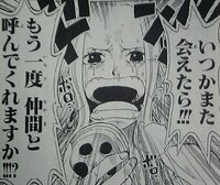 Onepieceの麦わら海賊団10人目の仲間はビビだと思うんですが Yahoo 知恵袋