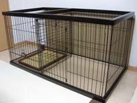 子犬がウンチをケージから出すとしてしまいます どうすればトイレでやる Yahoo 知恵袋