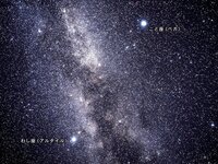 今日は七夕です 七夕って恋人とどのように過ごすのがいいのでしょうか Yahoo 知恵袋