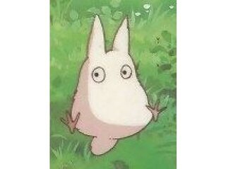 可愛い物好きな皆さんにお聞きします もし貴方の家に白い小トトロが来た Yahoo 知恵袋