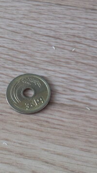 洗濯物のタオルなどに黒い小さい虫 ２匹くっついてる がついてます ２匹く Yahoo 知恵袋