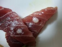 教えて まぐろの身に 今買ってきたばかりのマグロを食べていたら身に丸い Yahoo 知恵袋