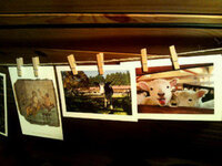 写真で使っているような木のクリップって100均で売ってますか Yahoo 知恵袋