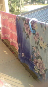 こんにちは 朝晩が 寒くなってきましたね 僕は 今朝 毛布を頭からかぶって寝て Yahoo 知恵袋