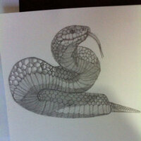蛇 鉛筆画 イラスト Www Obelele Lt