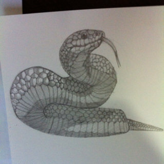 絵の評価お願いします 巳年ということで鉛筆で蛇を描いたのですが ここが変とかあ Yahoo 知恵袋