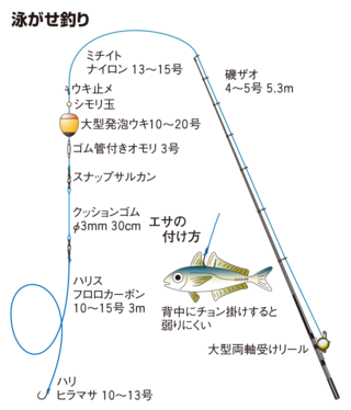 最も共有された ヒラマサ 泳がせ 釣り仕掛け 壁紙引用画像fhd