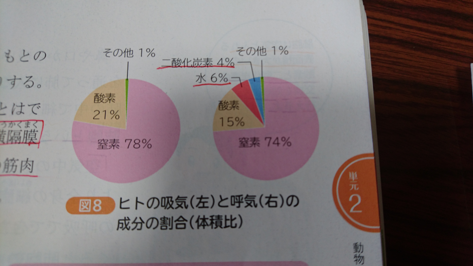 質問です 中学の理科で呼吸の勉強をしたのですが 教科書 Yahoo 知恵袋