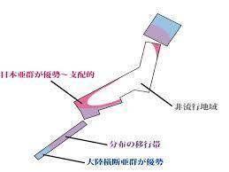 ホピの予言で白い兄弟は日本から来るとされています ホピ Yahoo 知恵袋