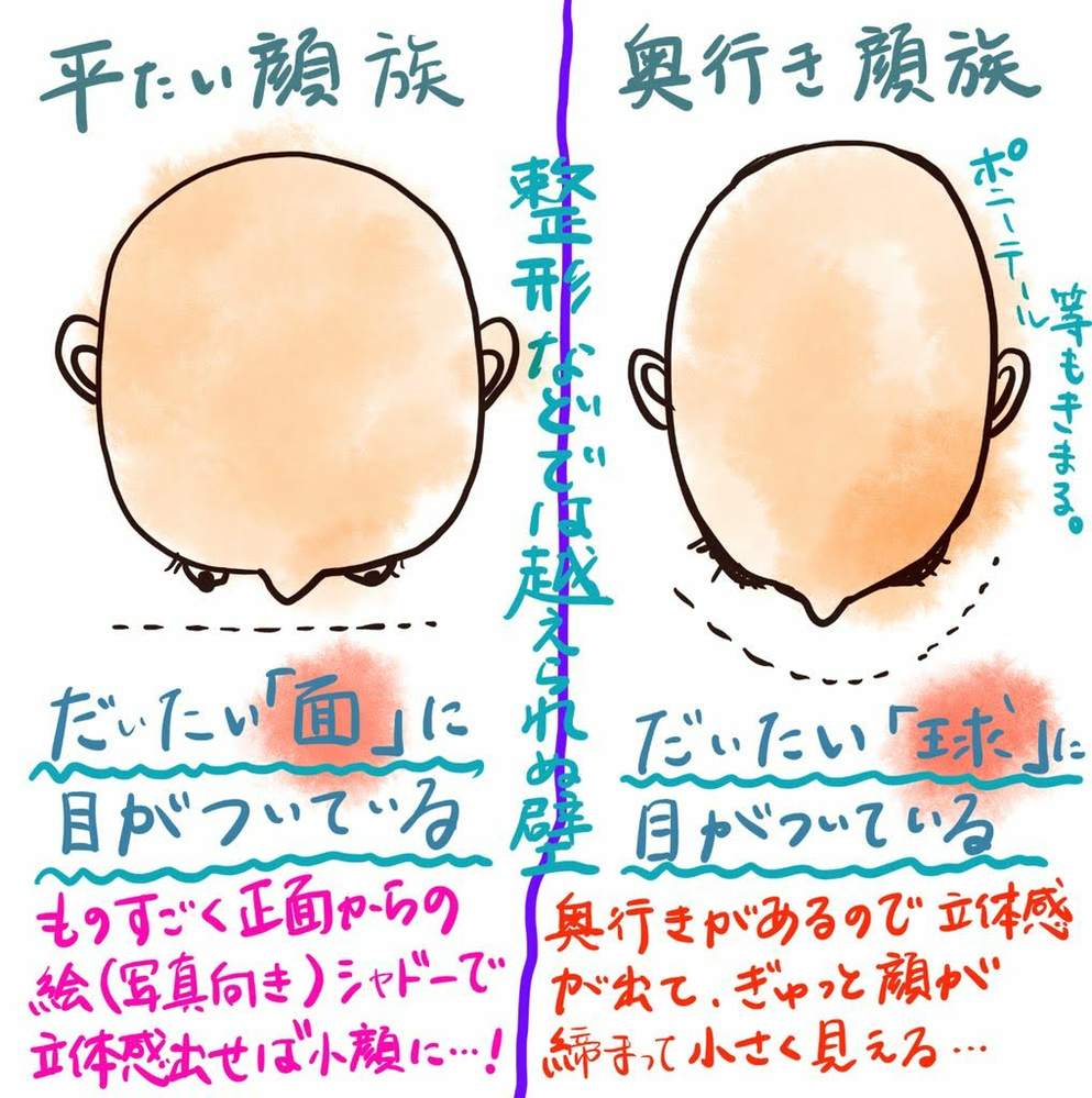 男友達に お前って目でかいけど顔平たい って言われました 立体感はない Yahoo 知恵袋