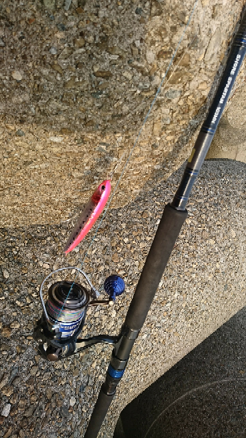 鹿児島の西部フィールドをメインにルアー釣りをしている者です Yahoo 知恵袋