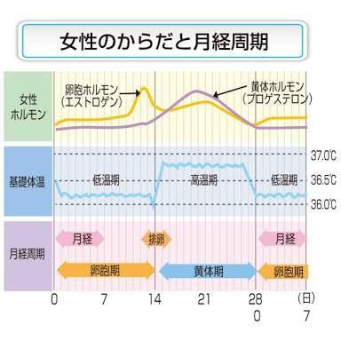 低用量ピルで生理を止めていても 生理前には周期に従って体温が上がるもの Yahoo 知恵袋