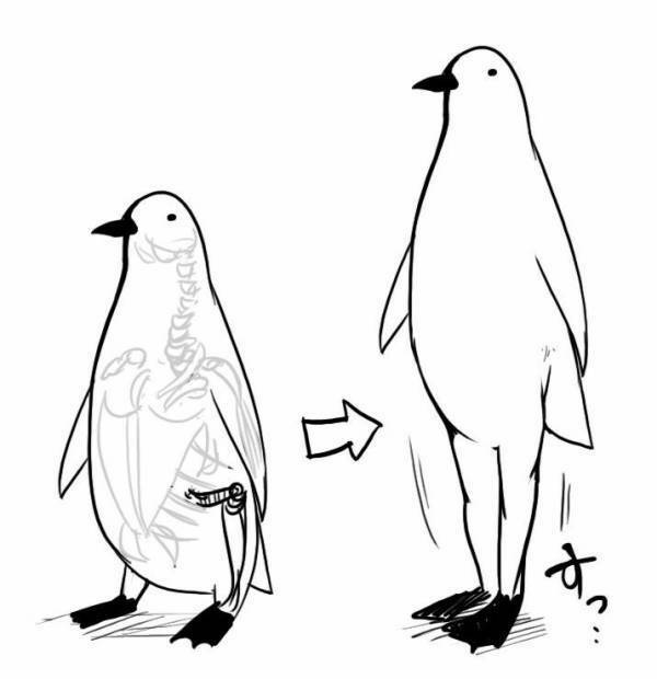 ペンギンの足は骨格的には長いそうなんですが 実際には伸ばせるんですか Yahoo 知恵袋