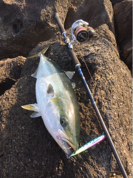 ラインとリーダーの結び方について 100cm前後のブリの場合 Yahoo 知恵袋