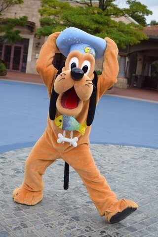 ディズニーでグリーティングを単焦点で撮影している方に質問です Yahoo 知恵袋