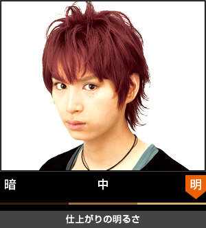 髪を赤く染めるのですがスタイリッシュロゼとプラチナロゼで迷ってます 今 Yahoo 知恵袋