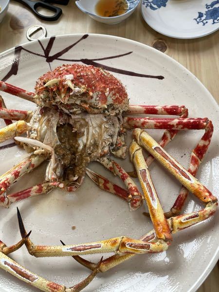 タカアシガニ 静岡の戸田で食べられますか コロナで閉店 Yahoo 知恵袋