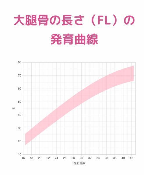 胎児の頭の大きさについて19週3日になります エコーで赤ちゃ Yahoo 知恵袋