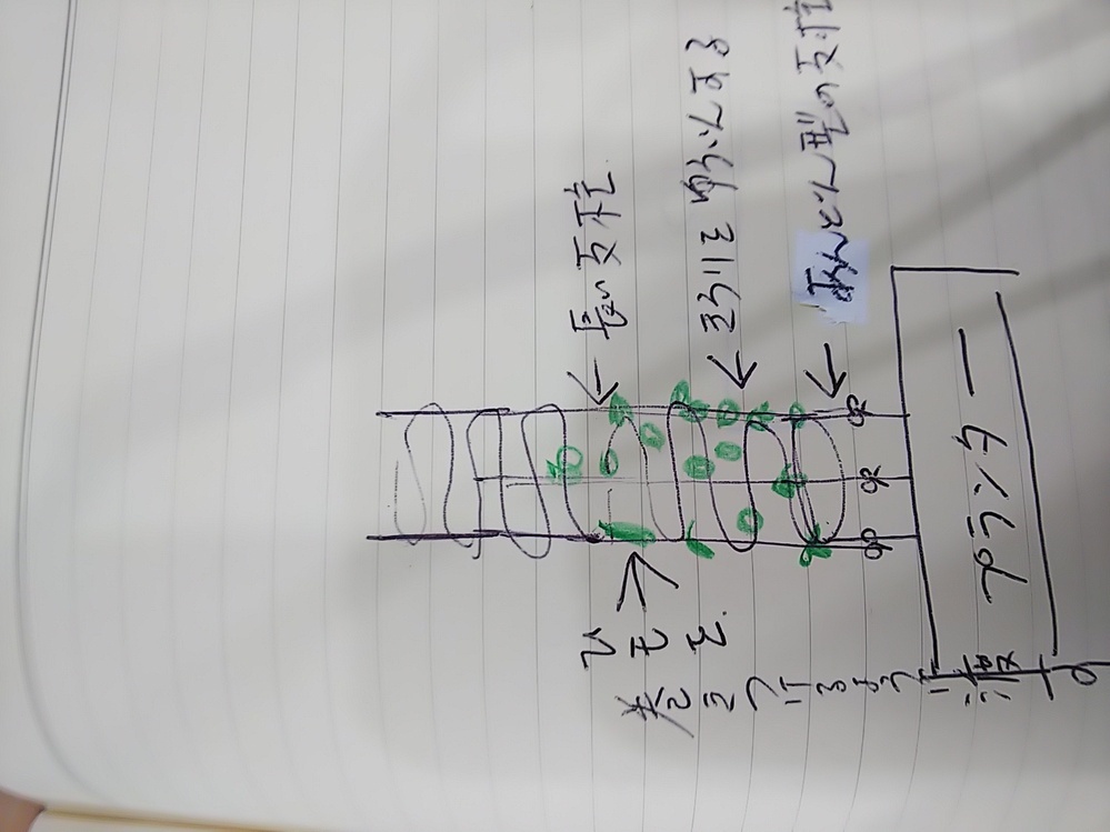 プランターできゅうりを育てています 100均のリング支柱を立てた Yahoo 知恵袋