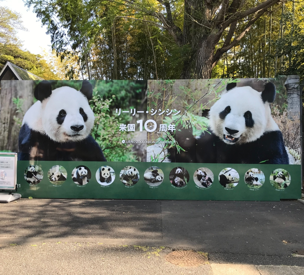 上野動物園で一番人気の動物と言えば 何ですか パンダ 案外ゾウも Yahoo 知恵袋