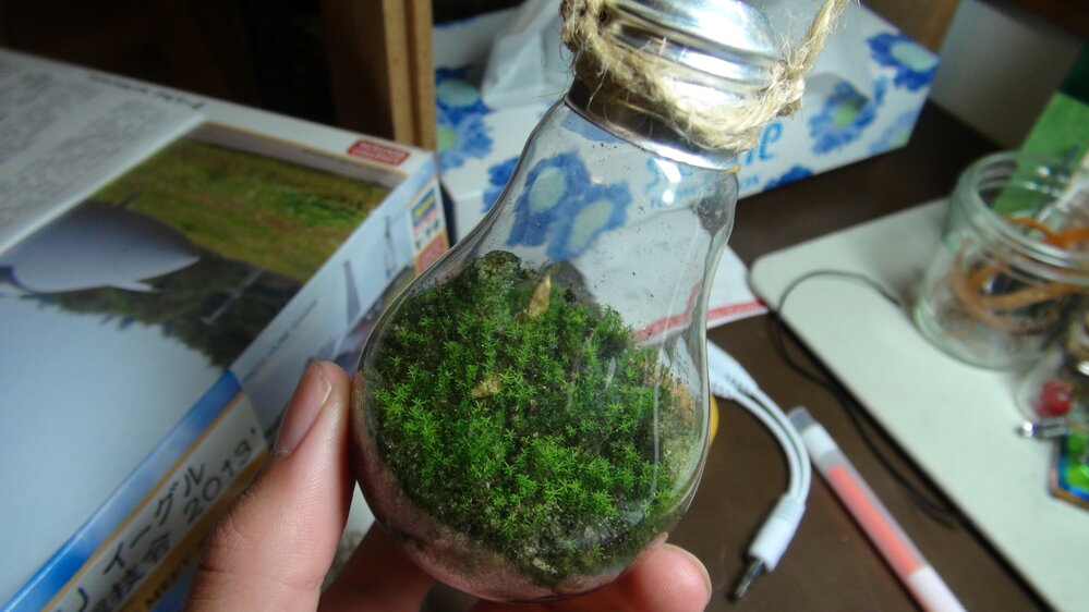 コケリウムについて詳しい方 じゃなくても結構です コケリ Yahoo 知恵袋