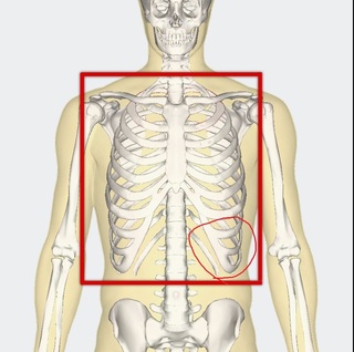 あばら骨の下が痛い