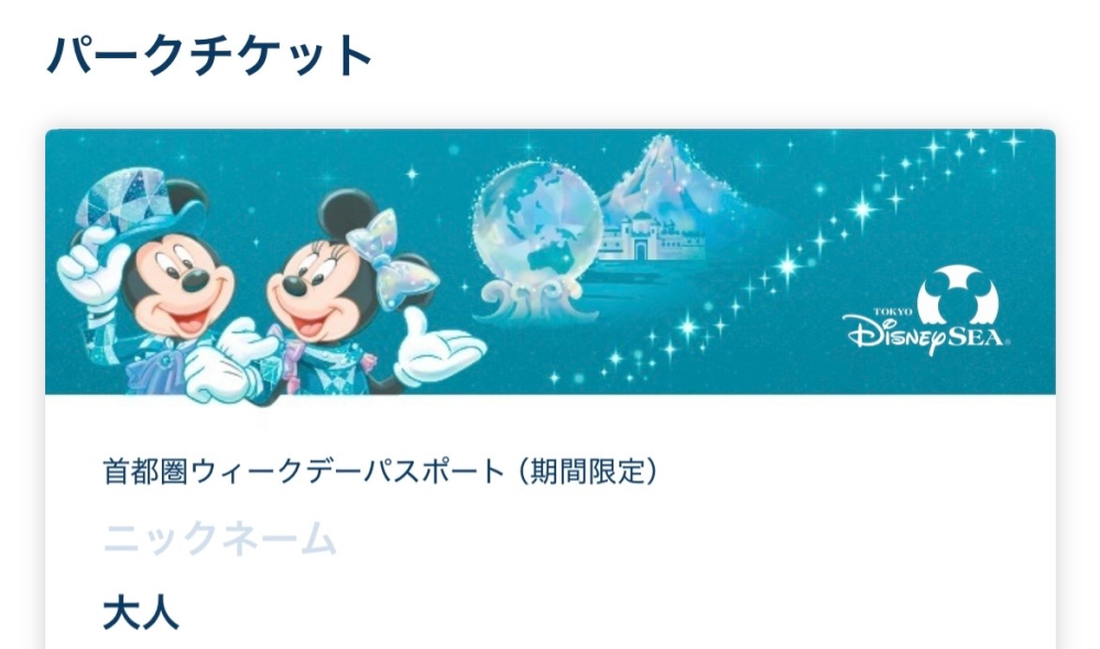 ディズニーアプリのチケットのニックネームは1度入力したら削除は